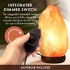 The Body Source Himalayan Salt Lamp 10-12 inches (11-15Ib), Includes