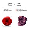 Eternal Petals A 100% Real Rose That Lasts Years, Handmade