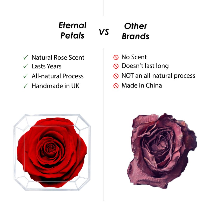 Eternal Petals A 100% Real Rose That Lasts Years, Handmade