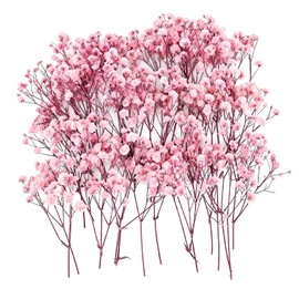 Dried Gypsophila Flowers, 100 Pink Dried Baby Breath Flowers, Natural Dried Flowers for Resin Art, Wedding Decor, DIY Crafts, Home Vase Arrangements and Creative Gift Making, 6-8 cm Length Each
