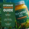 Sea Moss Gel, Mango Pineapple 18.5 oz, Superfood - 92
