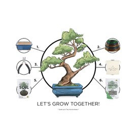 Complete Bonsai Set - Small Green Oval Bonsai Pot with Soil, Fertilizer Pellets, 160ft of Bonsai Hobby Wire, Cutter and Storage Bag - DIY Gardening Starter Set - Plant Repotting Supplies