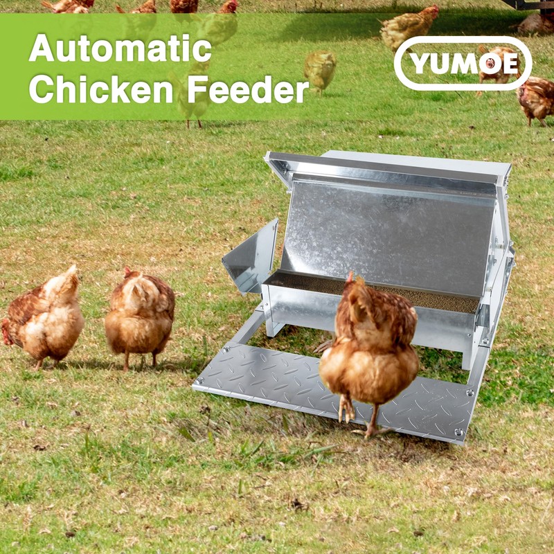 YUMOE Chicken Feeder Galvanized 25Lbs Capacity Weatherproof Treadle Chicken Feeder