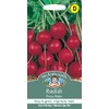 Mr Fothergill?s Seeds Ltd 14579 Vegetable Seeds, Radish Prinz Rotin
