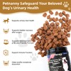 Petnanny Cranberry Supplement for Dogs - Urinary Tract Support