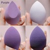 Ns Beauty Makeup Sponge Set Beauty Blender with Egg Case,