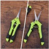 BESTonZON 5 x Professional Pruner Trimming Scissors Straight Tip Gardening