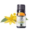 uh*Roh*Muh Organic Ylang Ylang Complete Essential Oil - USDA Certified