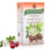 80 Tea Bags Morello Cherry & Elderflower - 4 Boxes