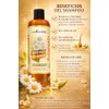 Shampoo Manzanilla Rayos Gold Aclarante Labs Ncredible Brillo Extra Aminexil