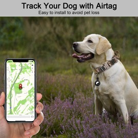 OEBEESA Tactical Dog Collar and Leash Set: Adjustable Dog Collar and Leash with Handle,Patch and Airtag Case Holder for Medium and Large Dogs