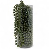 MIJOMA Pearl Garland - Elegant Pearl Band, Pearl Necklace &