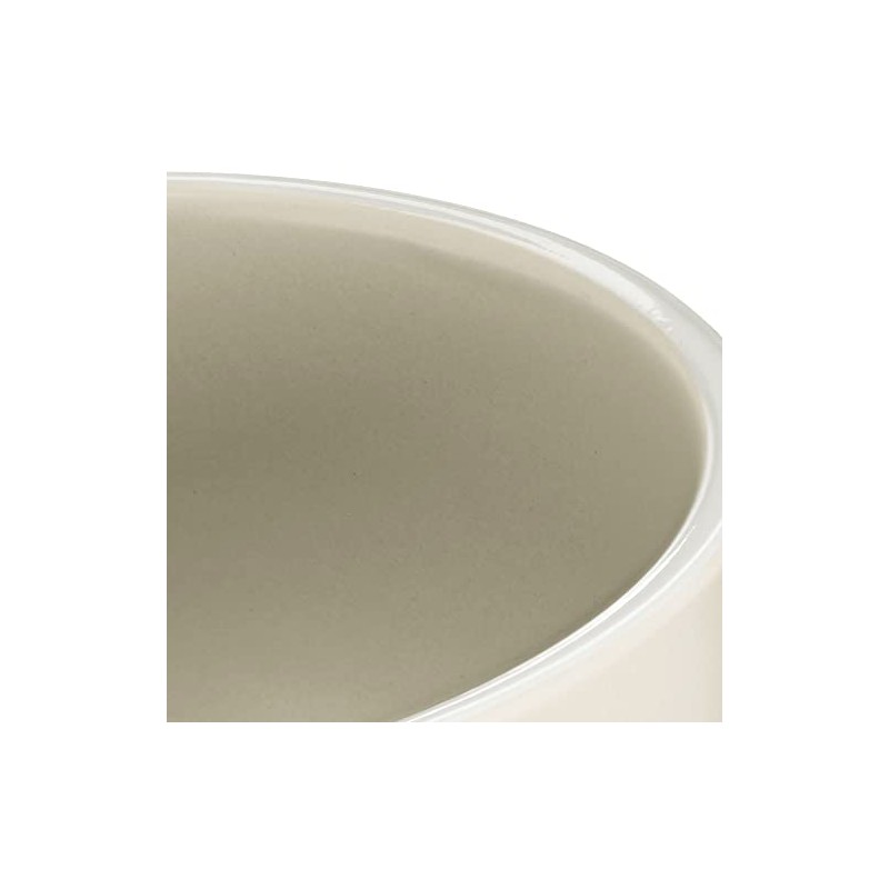 Devon Ceramics Ltd Set of Stoneware Dinner Plates (Set of