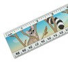 Ring-Tailed Cat 12 Inch Standard and Metric Plastic Ruler