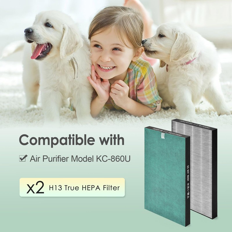 HSIAMEN Filter Compatible with Sharp KC-860U Air Purifier, H13 True
