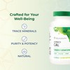 Youngevity Ultimate Cal - Calcium Magnesium Bone Health Supplement with