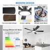 TCL Ceiling Fans with Lights, 52 Inch Low Profile Ceiling