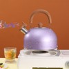 Water Kettle Stainless Steel Whistle Water Kettle Large Capacity Flat