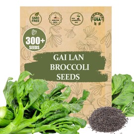 Premium GAI LAN (Broccoli) Seeds – 300+ Non-GMO Heirloom Seeds, Fast-Growing, High-Yield Variety with Crisp Stems & Tender Leaves