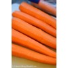 THE BAKERY COMPANY Carrot Cakes...9 Inch Carrot Cakes