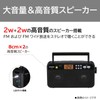 Toshiba Radio TY-SR66(K) FM AM LED Light, Stereo Backlight, Earphone