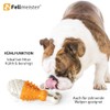 Fellmeister® 3in1 Dental Kauspielzeug für Hunde mit Kühlfunktion und Futter
