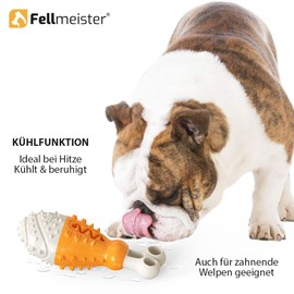 Fellmeister® 3in1 Dental Kauspielzeug für Hunde mit Kühlfunktion und Futter Fach zur Zahnpflege und Mundhygiene, Hunde Keule in Farbe: (Orange)
