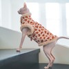 Faux Fur Sphynx Cat Clothes Chi-Pao, Cotton Hairless Cat Cheongsam