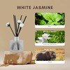 Brakula 2 Pack Reed Diffuser Set, White Jasmine Scented, Home