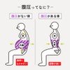 [Nakayama-style] [Orthopedic Surgeon] Magico Belly Pressure Belly Belt, Waist Belt,