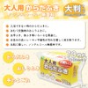 Adult Body Wipes, 70 Sheets x 3, Large Size, Wet