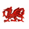 Wales Dragon Resin Printed Magnet | Bold & Mythical Welsh