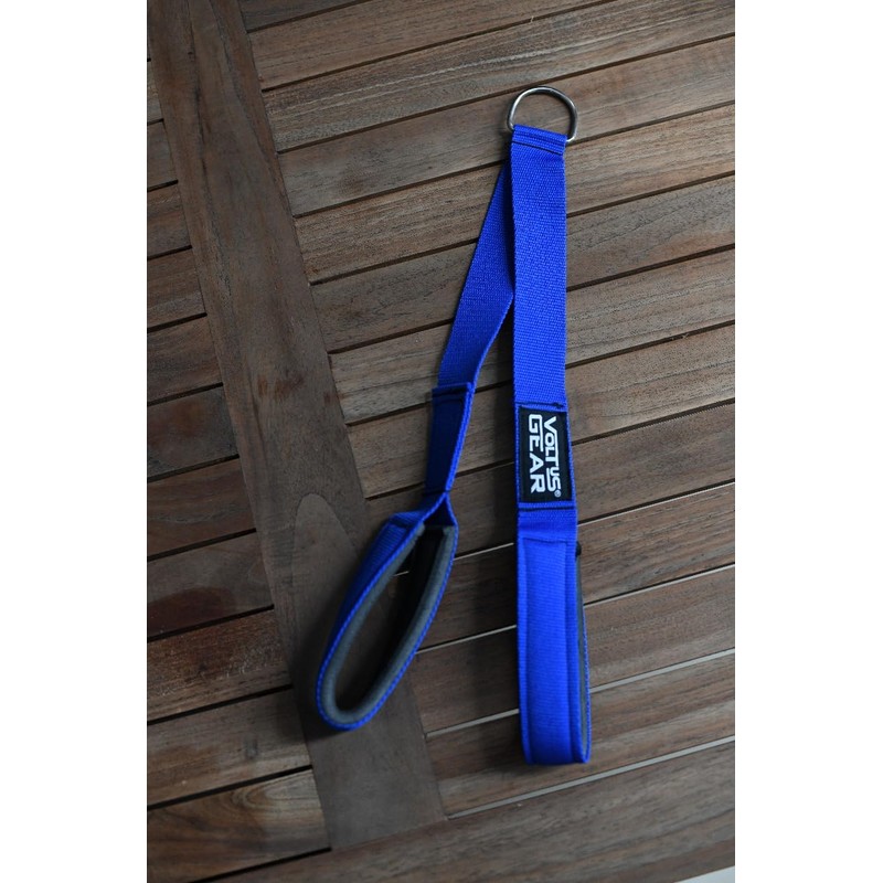 Triceps Rope Extension Cable with D-Ring Attachment (blue)