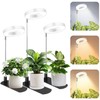 LBW Grow Light for Indoor Plants, Height Adjustable Plant Grow