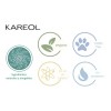 Kareol Post Alisado Shampoo Y Acond Keratina Prolongada