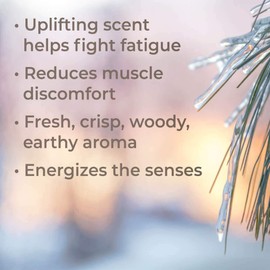 Plant Therapy Black Spruce Essential Oil 10 mL (1/3 oz) 100% Pure, Undiluted, Therapeutic Grade