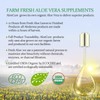 AloeCure Organic Aloe Vera Juice Lemon Flavor – 500ml |