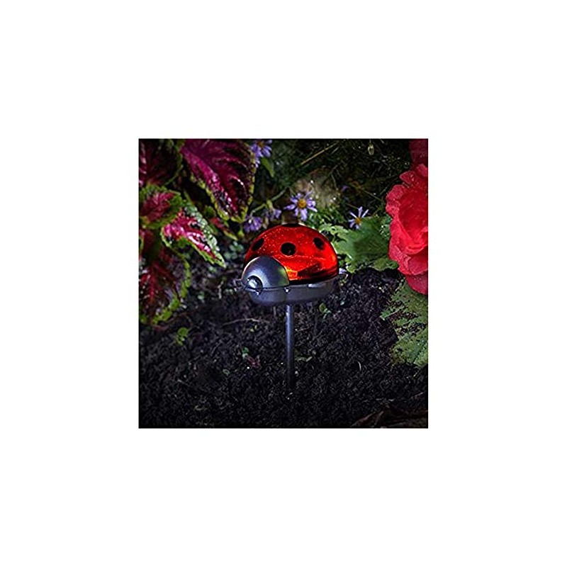 Online Garden Centre Ladybird Stake Triple Pack