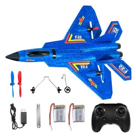KQWVZ F-22 RC Airplane, Remote Controlled Aircraft, 2.4 GHz 2 Channel Model Aeroplane, Remote Controlled Aircraft, Outdoor Foam RC Plane with Gyroscope System, for Beginners, Children (Blue)