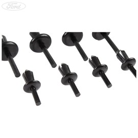Ford Genuine C-Max Mk2 Grand C-Max Mud Flap Fixing Clips Set Of 10 2015-2016 1715153