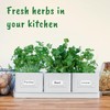 volila Herb Planter Indoor - Set of 3 Warmstone Indoor