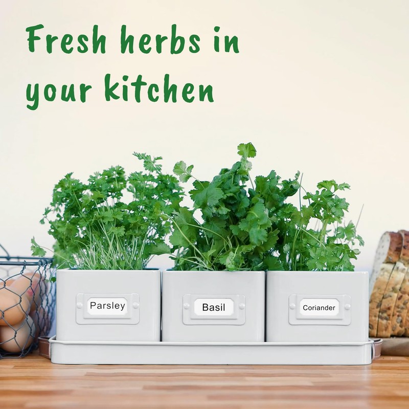 volila Herb Planter Indoor - Set of 3 Warmstone Indoor