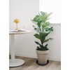 Bleuhome 2 Pack Bird Bath Bowl 14", 1.6" Depth, 13
