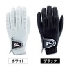 Kasco Golf Glove Natural Leather DNA SHEEP GF-2012R Right Hand