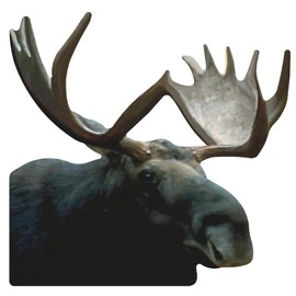 SP12659 Moose Head Facing Right Cardboard Cutout Standee Standup