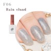 MilleFee One Complete Gel Nail Fiber Nail (F06 Rain Cloud)