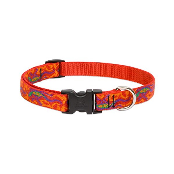 LupinePet Originals 3/4" Go Go Gecko 15-25" Adjustable Collar for Large Dogs