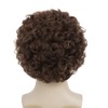 Amnenl Brown Curly Short Afro Wigs for Men California Cosplay