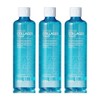 Ten Zero Hypoallergenic Moisture Collagen Toner 300ml 3pcs Cosmetics for