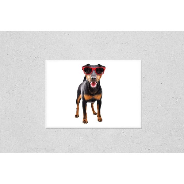 HardPress Wall Art Poster Print of Funny Dog Breed Jagdterrier